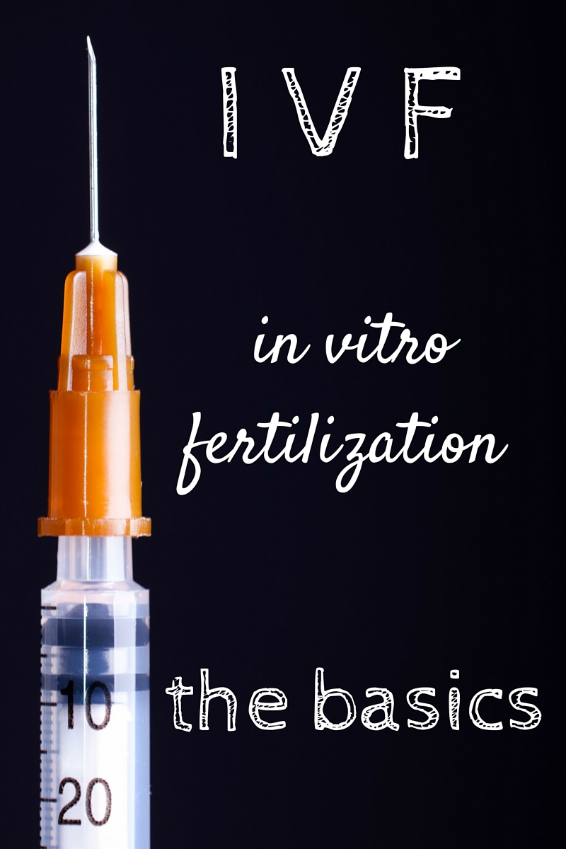 in-vitro-fertilization-the-basics-of-ivf-montana-doodle